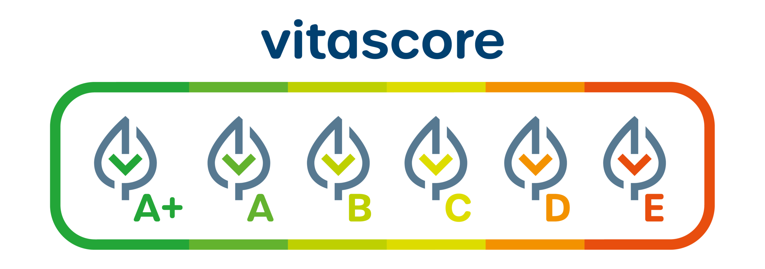 barème vitascore