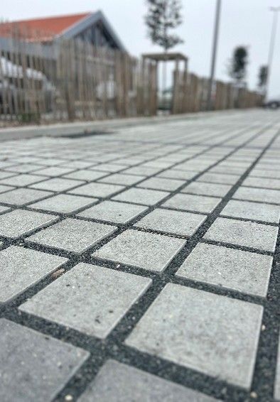 pavés drainants